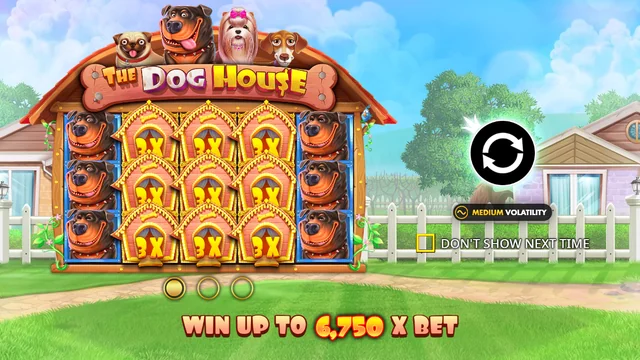 The Dog House